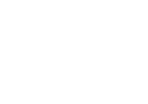 logo partnera 